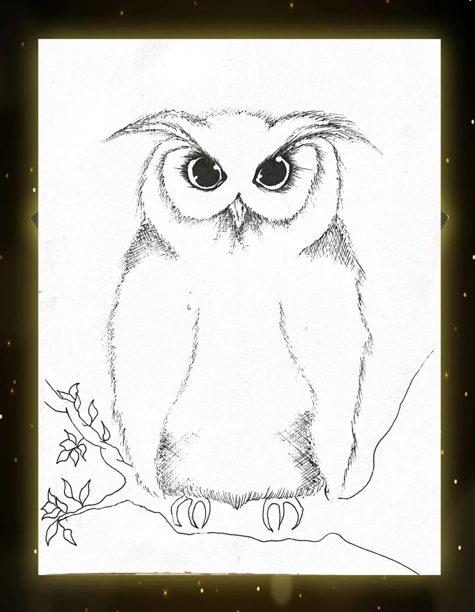 owl artwork.jpg